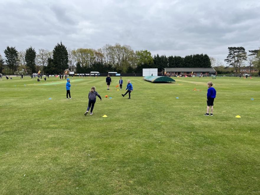 cricket picture 2